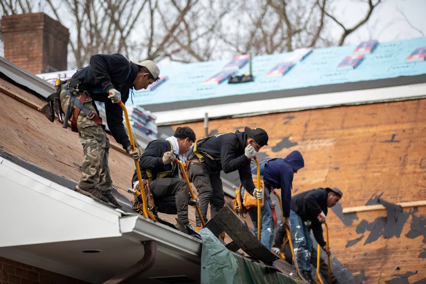Five roofers in safety harnesses stripping old shingles from a steep roof down to the bare wood decking, with new underlayment already rolled out on the slope behind them.